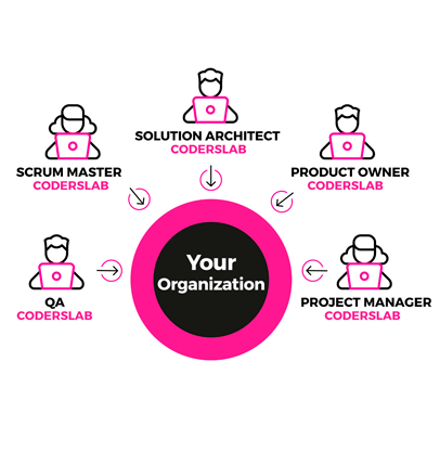 Software Development Teams